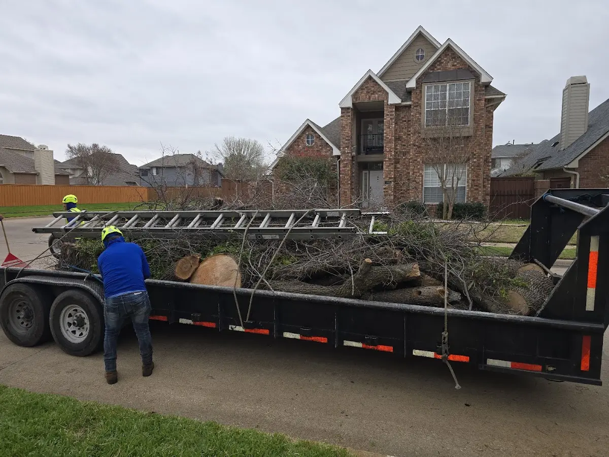 Expert Crown Reduction with proper safety equipment in Charlestown